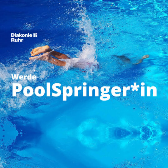 poolspringer_750x750px
